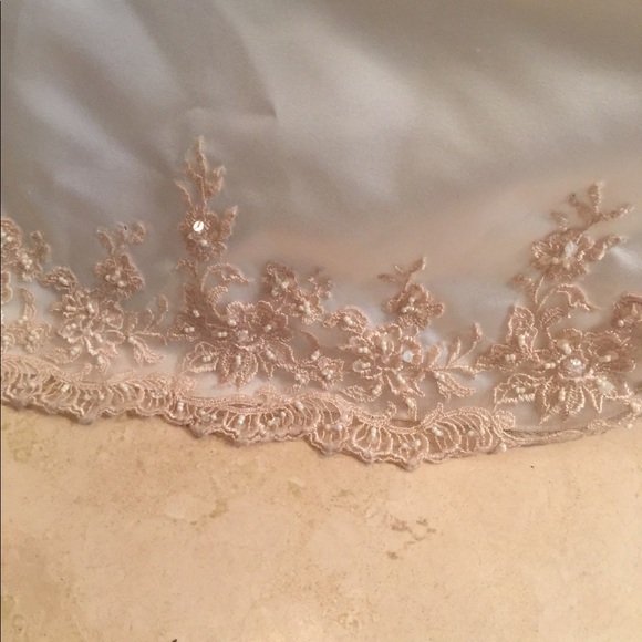David’s Bridal Ivory & Champagne with lace and sequins 16w - Picture 5 of 13